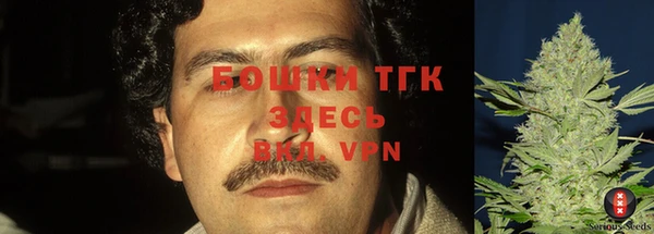тгк Алексеевка